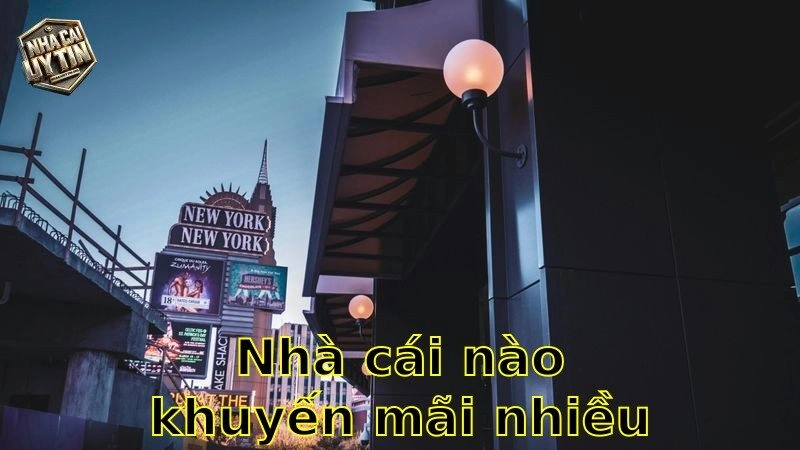 Nhà cái nào khuyến mãi nhiều nhất – Khám Phá Danh Sách Nhà Cái Ưu Đãi Khó Cưỡng 2025